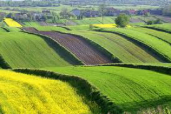 Image - A Roztochia landscape.